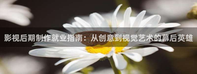 yy4480青苹果影院万利达
