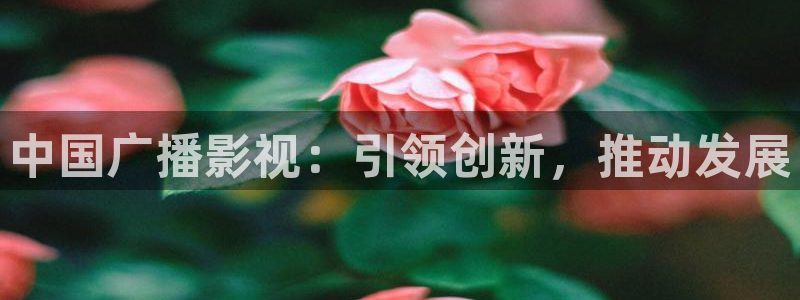 yy4480高清影院免费：中国广播影视：引领创新，推动发展