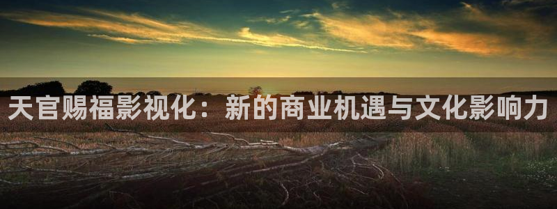 yy4480私人电影院