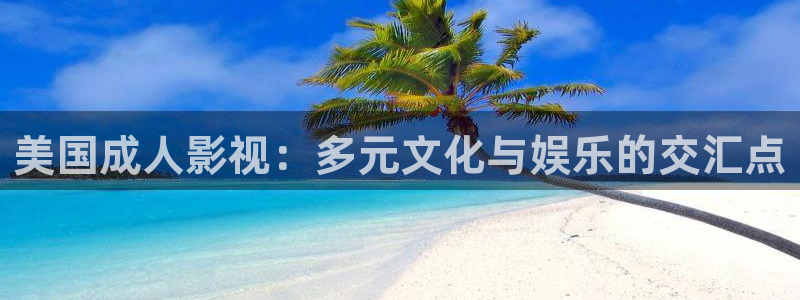 左手影院yy4480：美国成人影视：多元文化与娱乐的交汇点