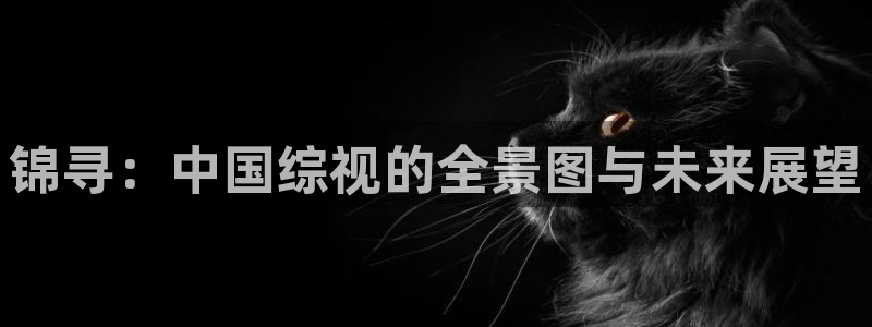 yy4480青苹果影院：锦寻：中国综视的全景图与未来展望